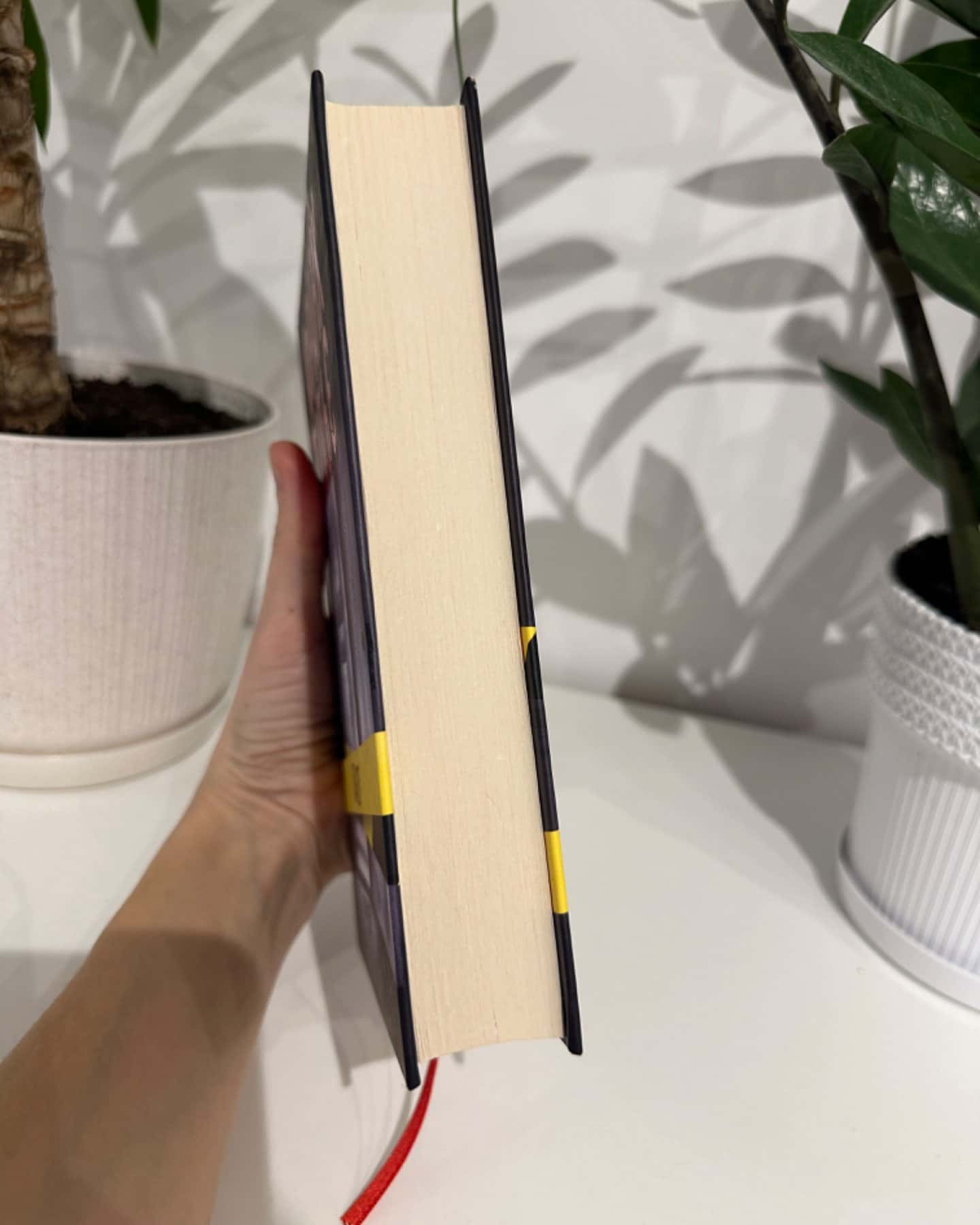 Пазл-Франк Тільє