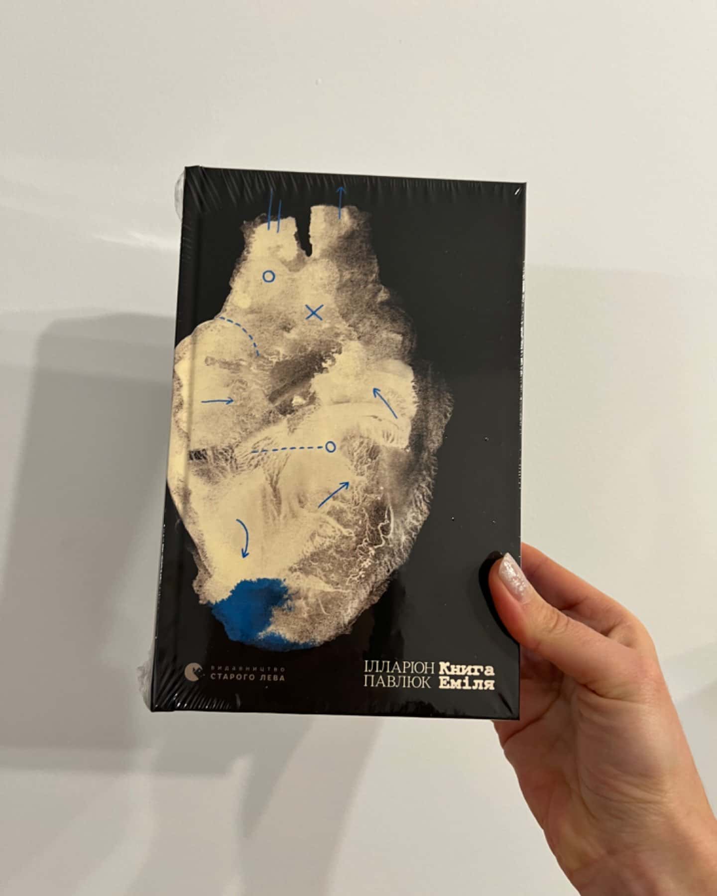 Книга Еміля-Ілларіон Павлюк