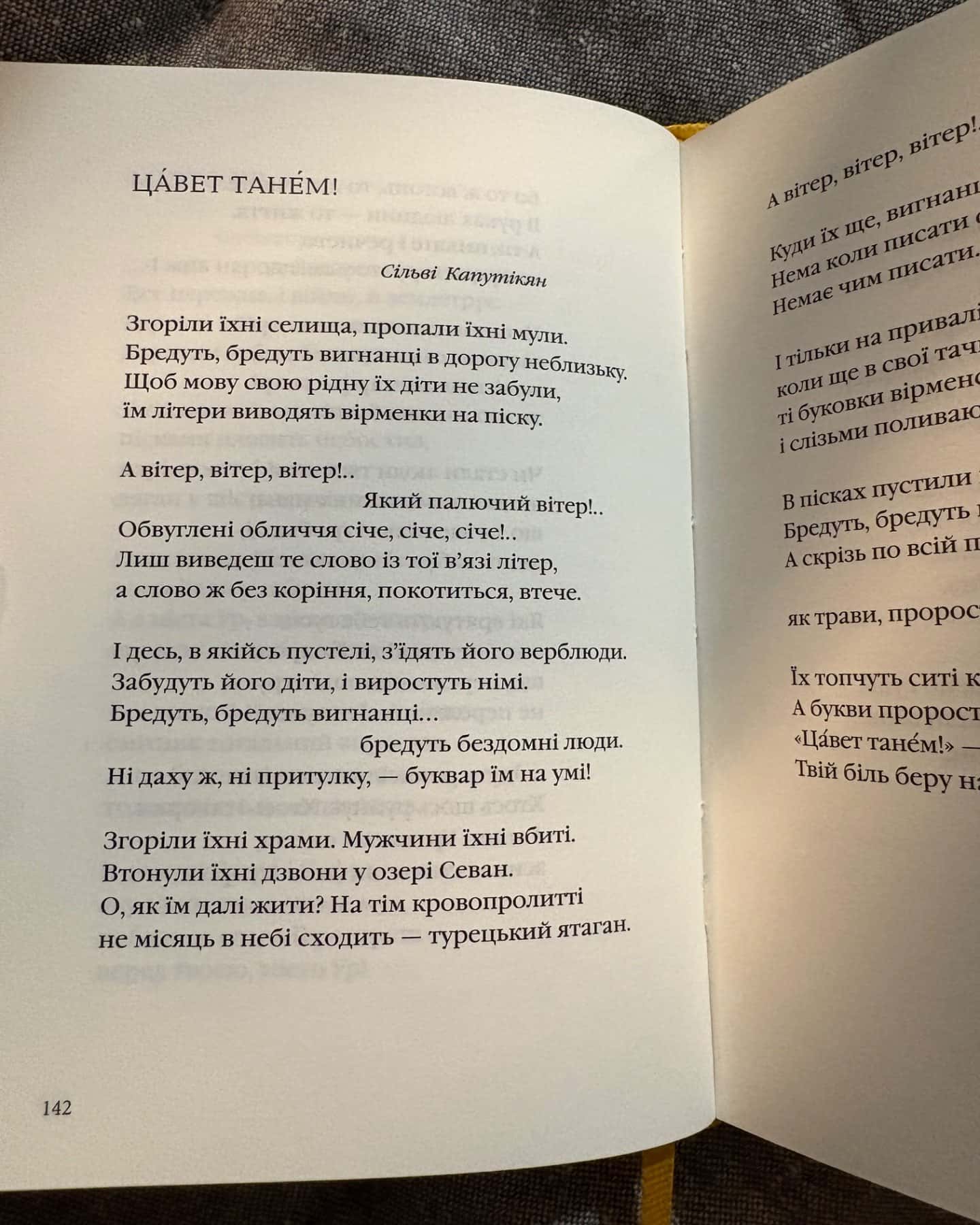 Триста поезій-Ліна Костенко