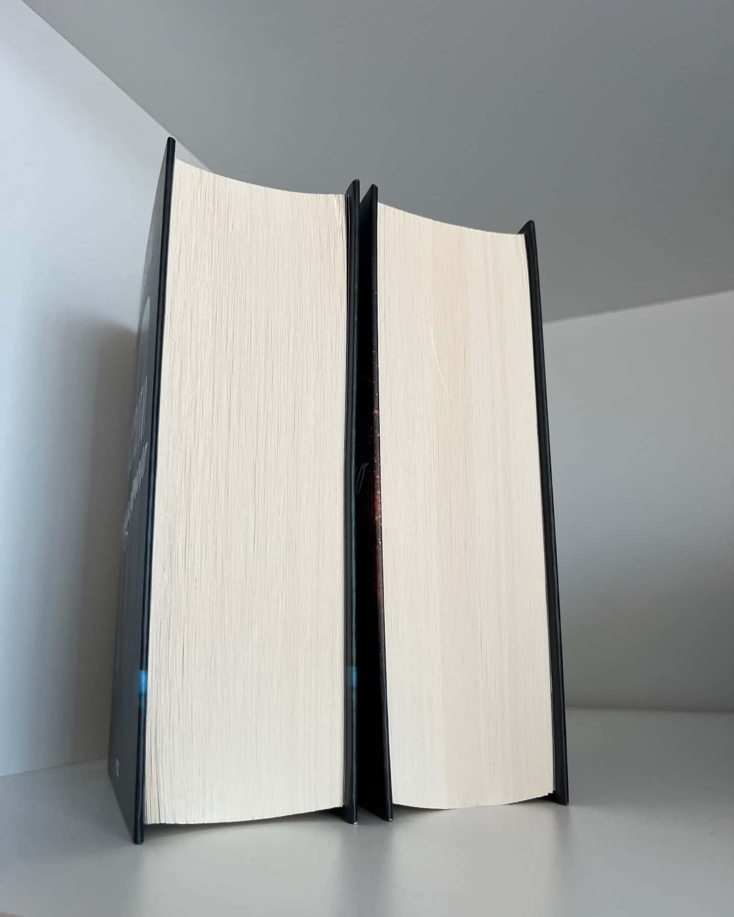Захопити Тринадцятого. Книга 1, Вберегти Тринадцятого. Книга 2 — Хлої Волш