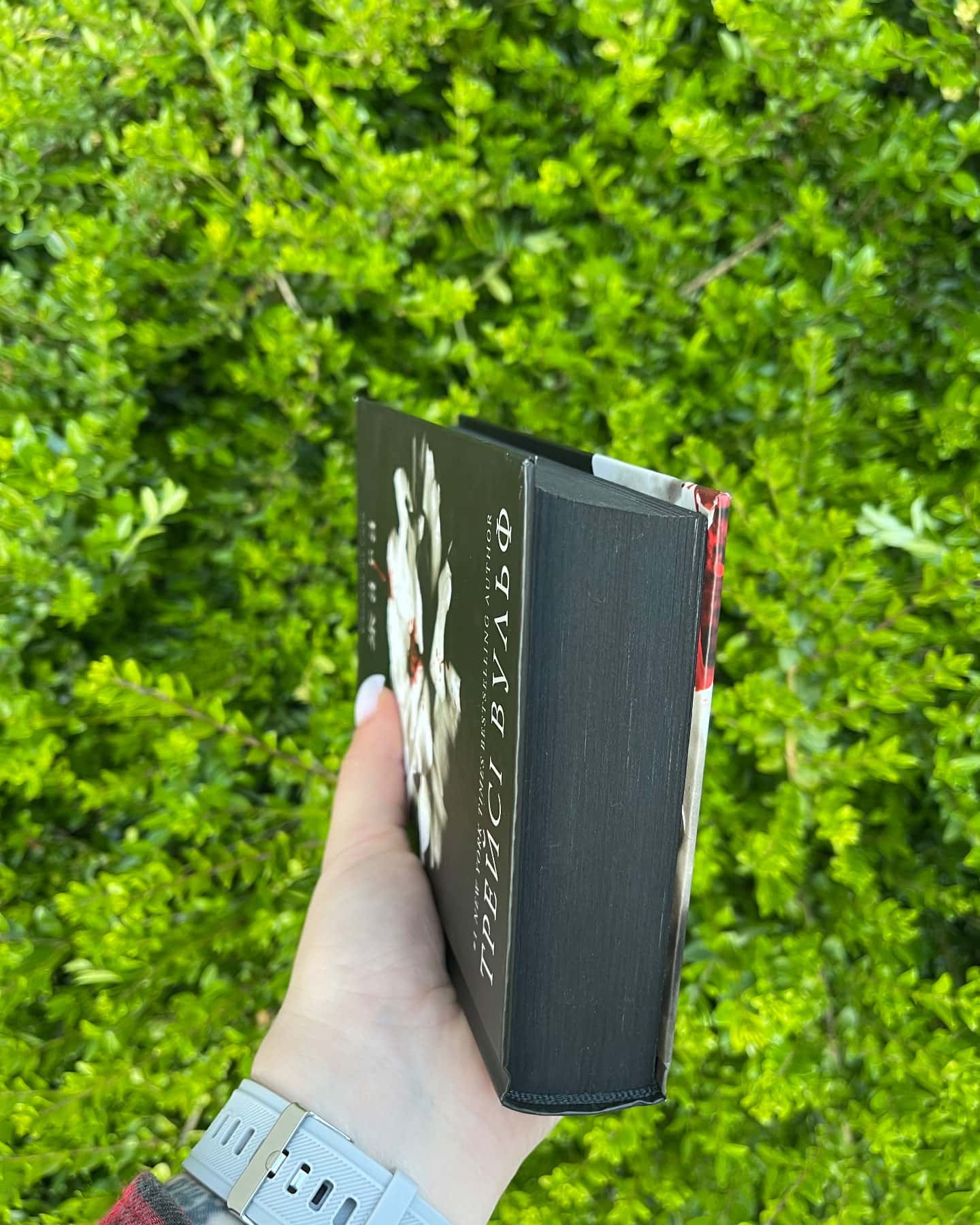 Жага. Книга 1-Трейсі Вульф