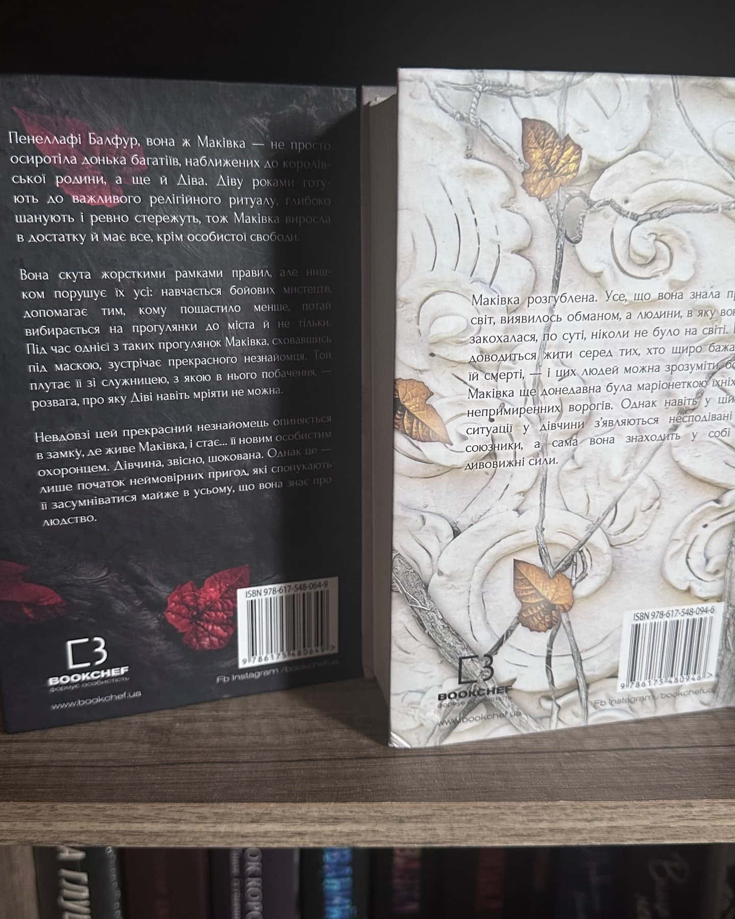 Кров і попіл. Книга 1. Із крові й попелу, Кров і попіл. Книга 2. Королівство плоті й вогню — Дженніфер Л. Арментраут