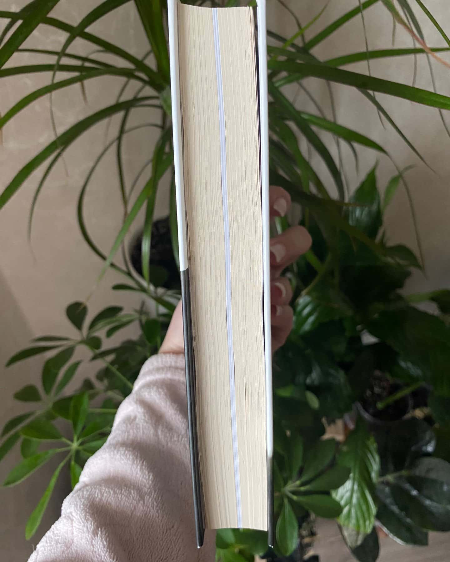 Хрестовий похід у Європу-Андрій Галушка Андрій Харук