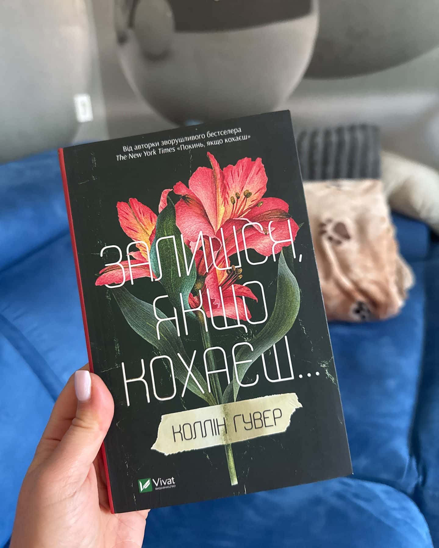 Покинь якщо кохаєш-Коллін Гувер