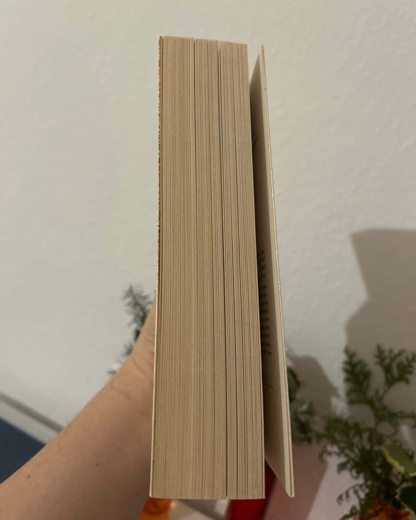 Save Me • Maxton Hall-Mona Kasten