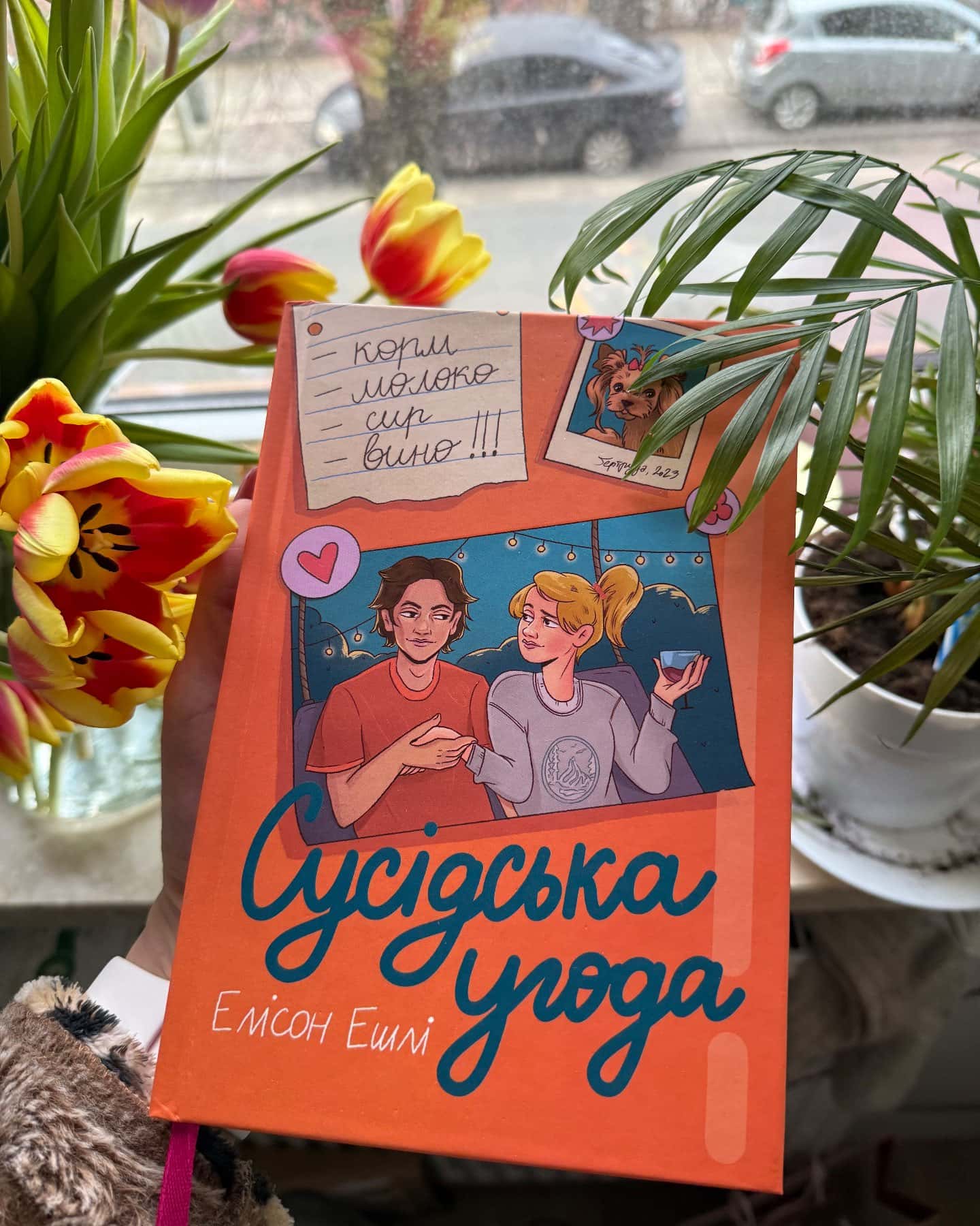 Сусідська угода — Ешлі Елісон