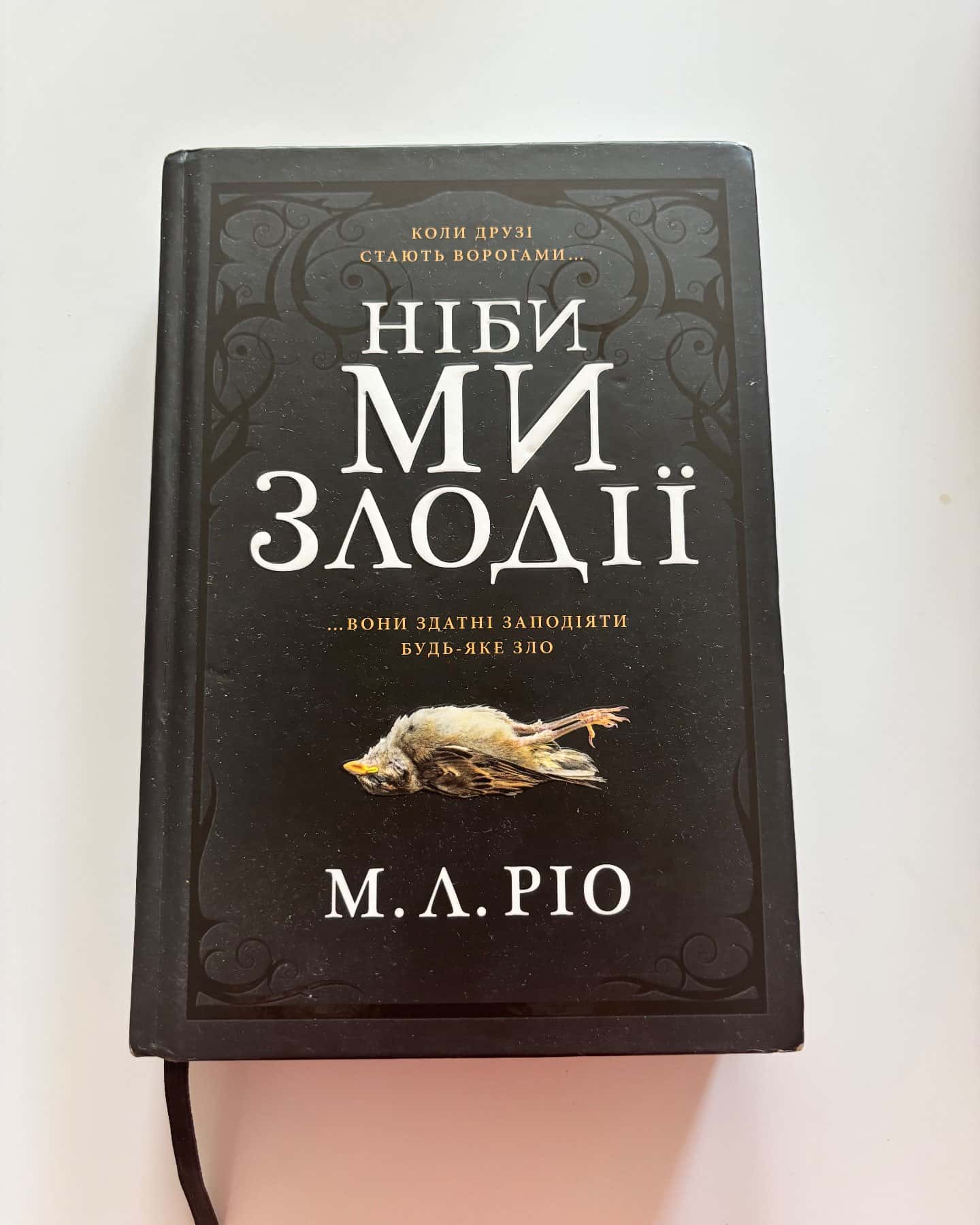 Ніби ми злодії — М. Л. Ріо