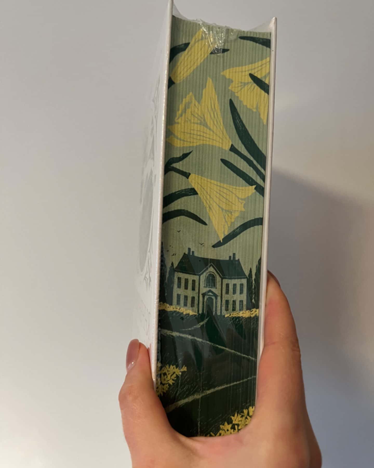 Повернення додому-Розамунда Пілчер