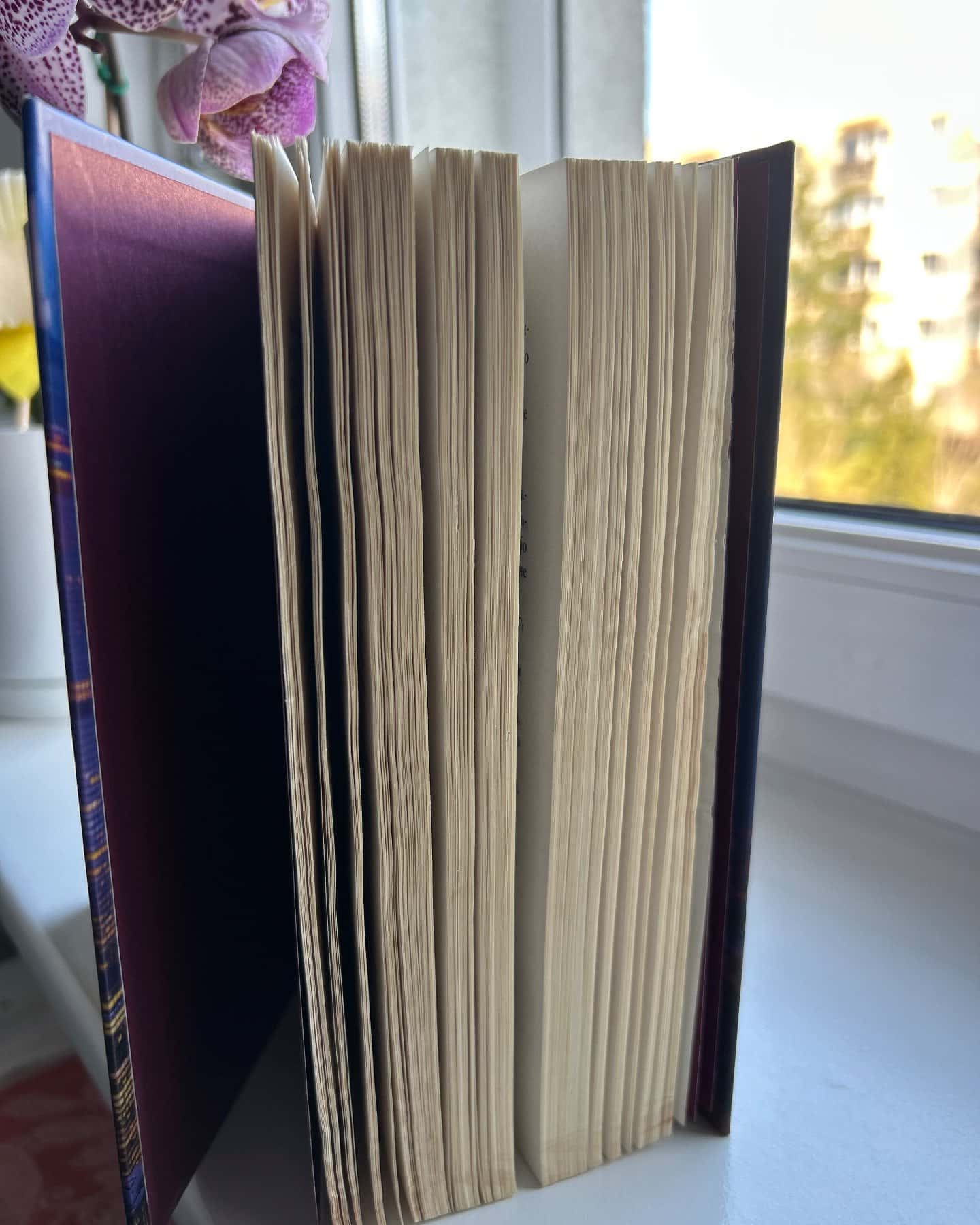 Правильне рішення. Місто вітрів. Книга 2, Спіймана. Місто вітрів. Книга 3-Ліз Томфорд