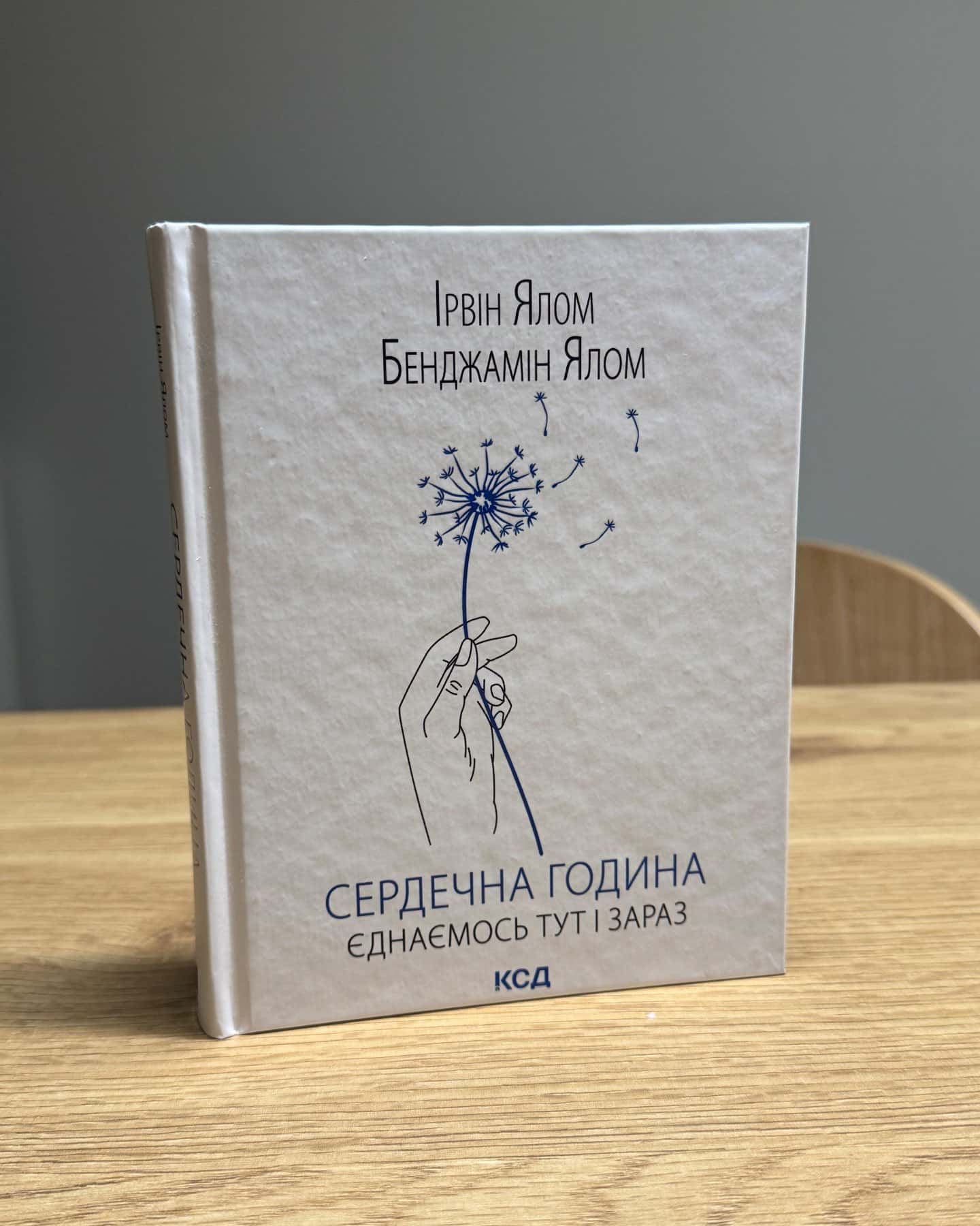 Сердечна година. Єднаємось тут і зараз — Ірвін Ялом, Бенджамін Ялом