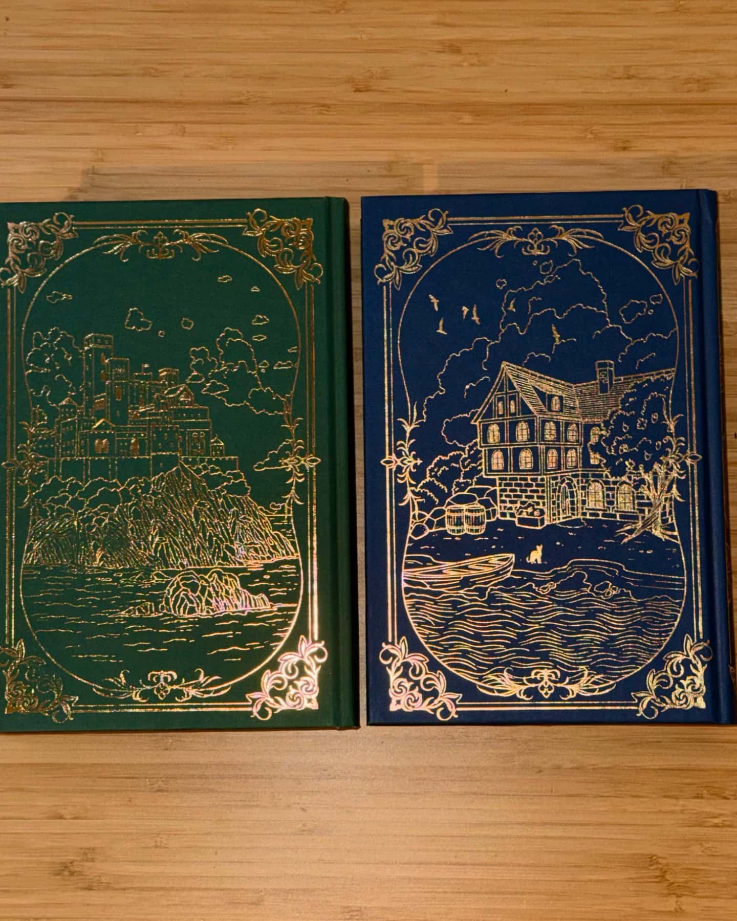 Це безжальне благословення, Це прокляте світло-Емілі Сід