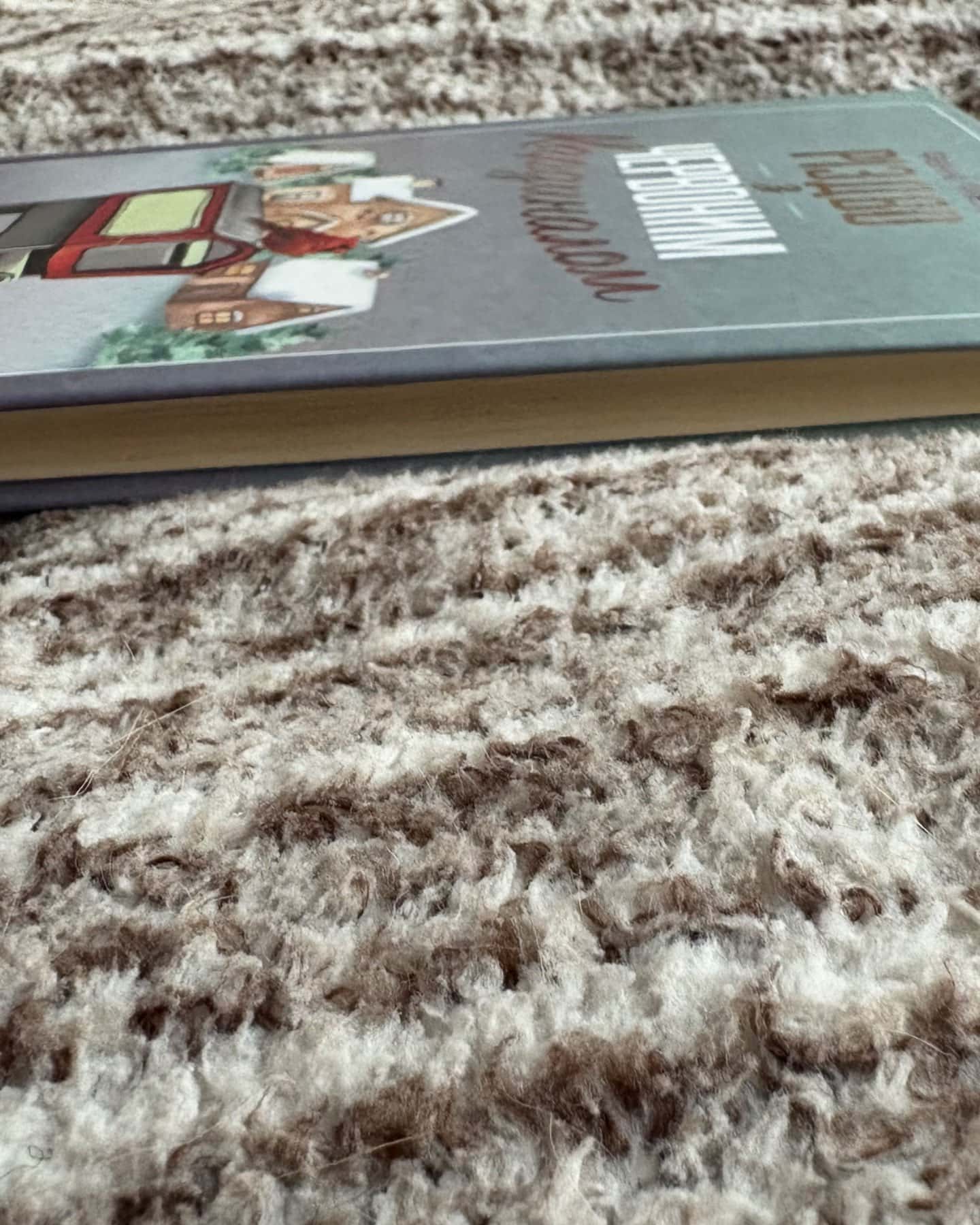 Різдво з червоним кардиналом-Фенні Флегг