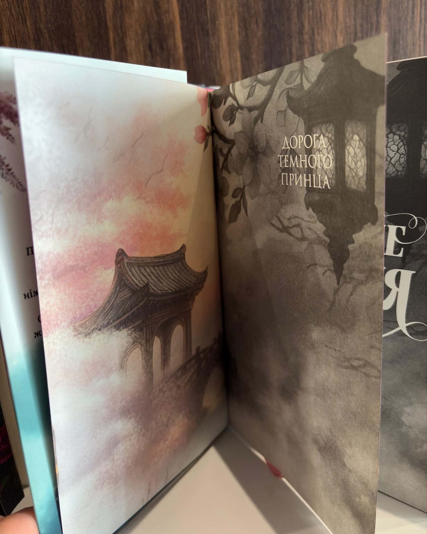 Моє темне бажання. Книга 2, Мій темний принц. Книга 3 — Л. Дж. Шен, Паркер С. Гантінгтон