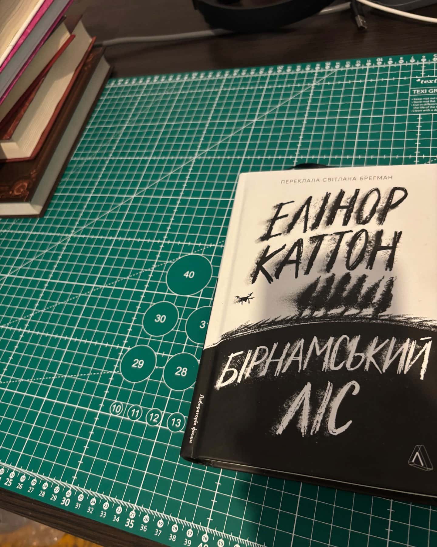 Бірнамський ліс — Елінор Каттон