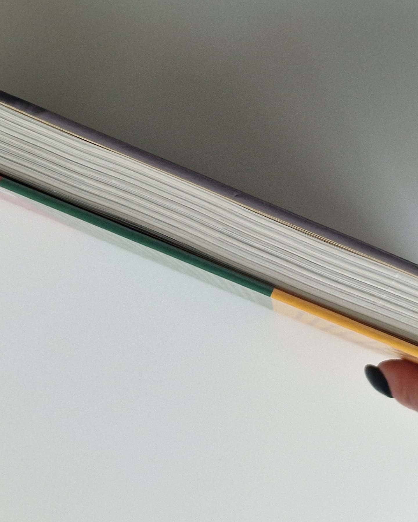 Велика президентка маленької країни-Дайва Ульбінайте