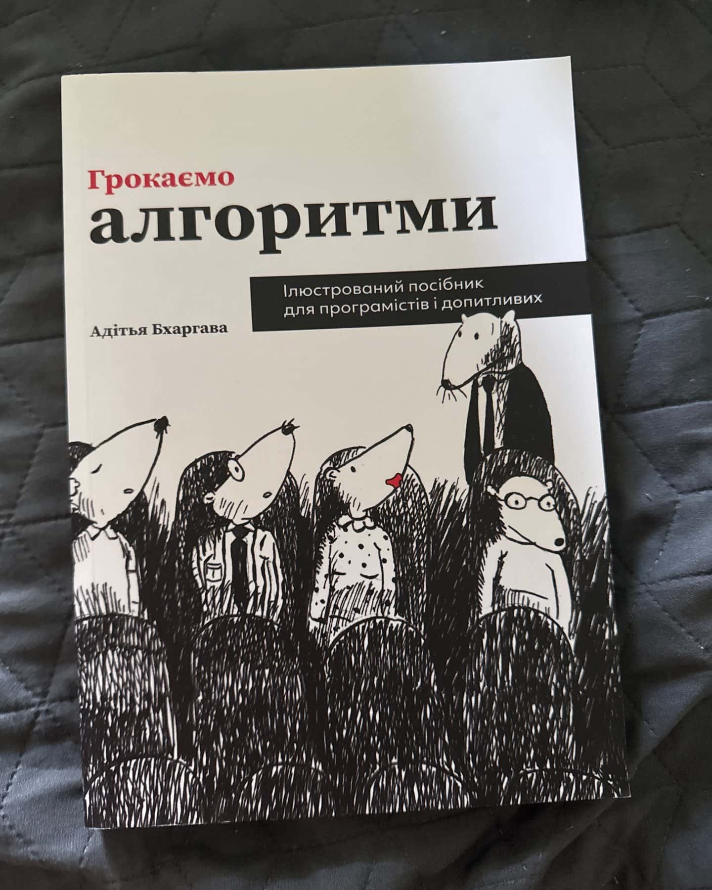 Грокаємо алгоритми — Адітья Бхаргава