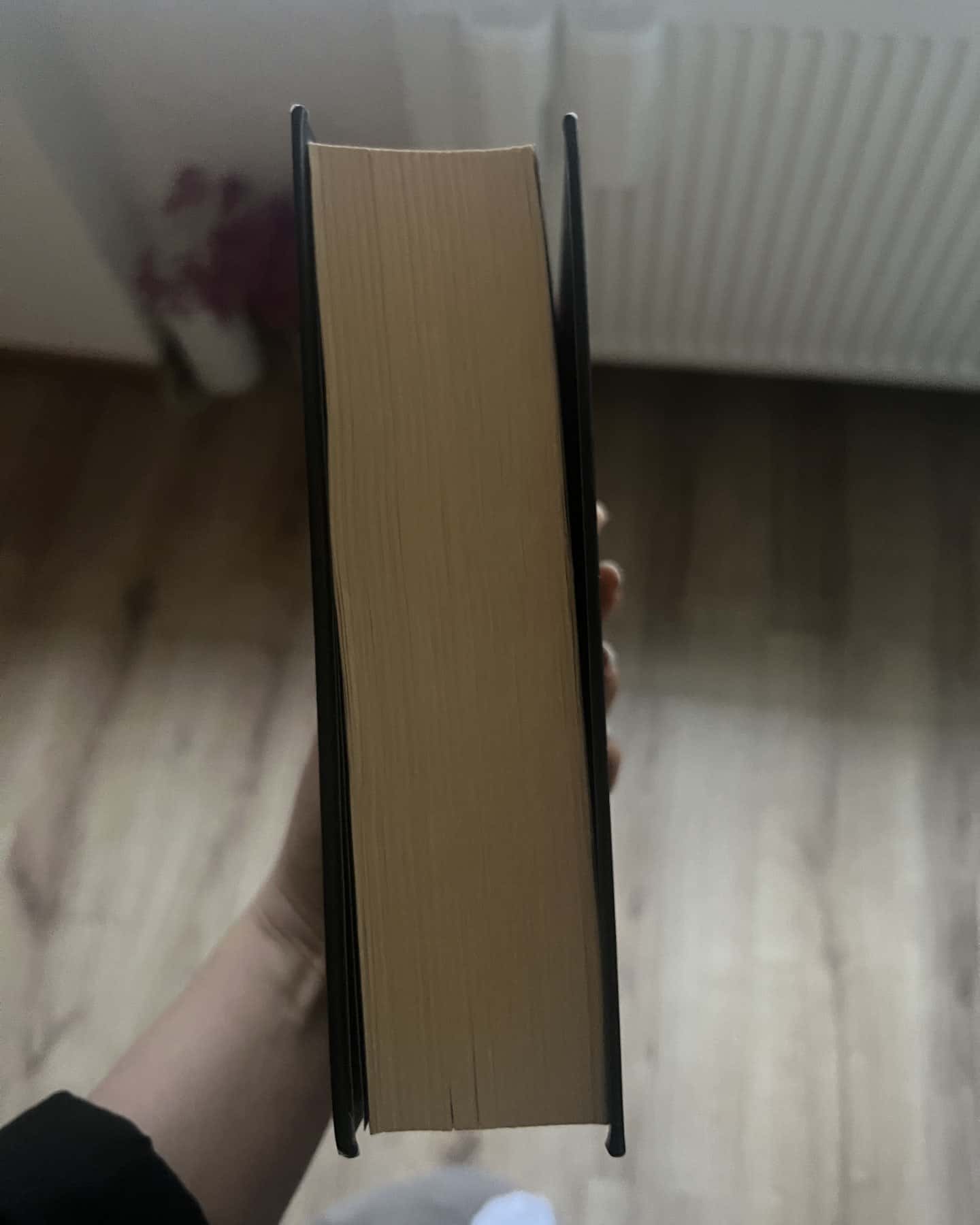 Природа всіх речей-Елізабет Ґілберт