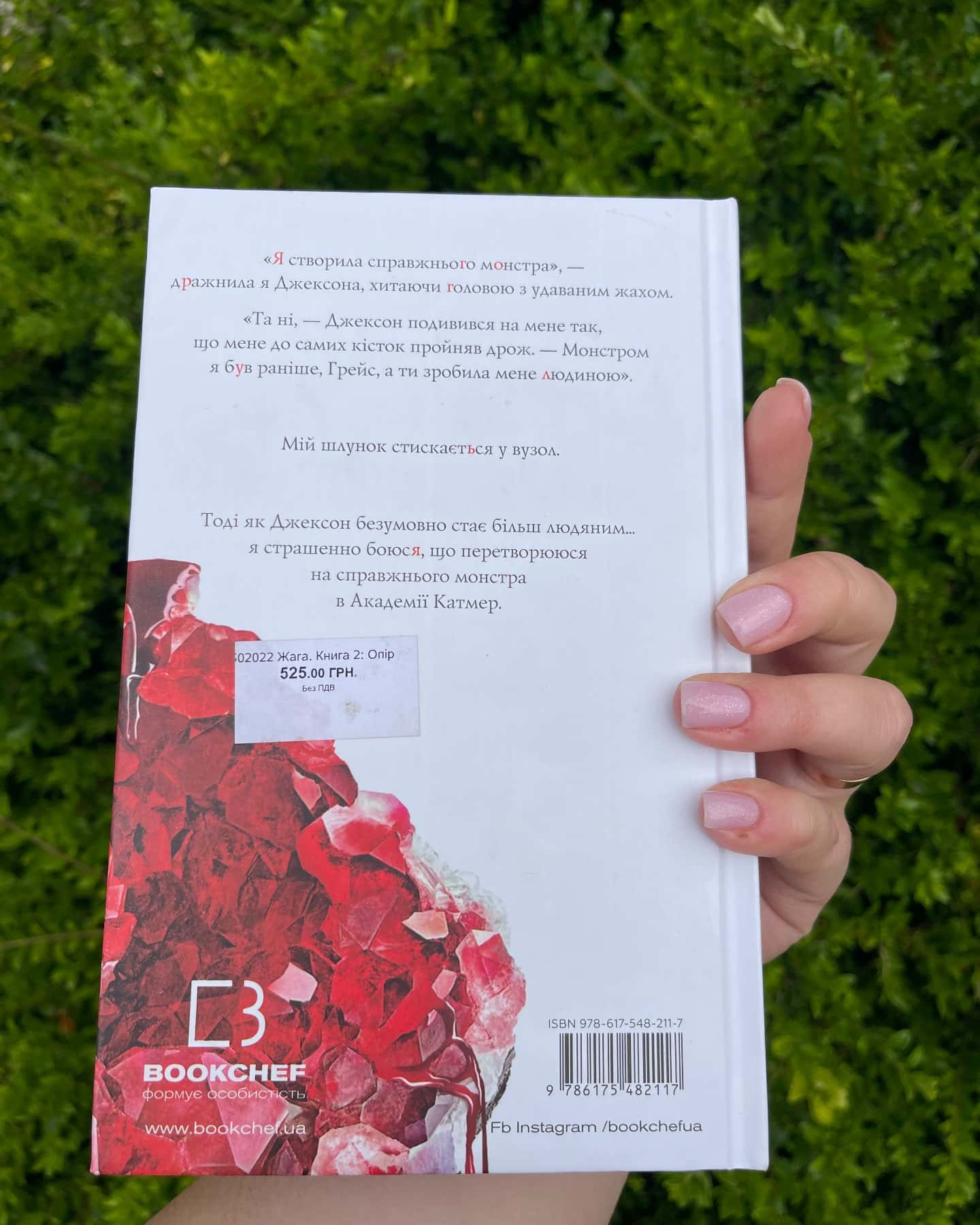 Жага. Книга 2. Опір-Трейсі Вульф