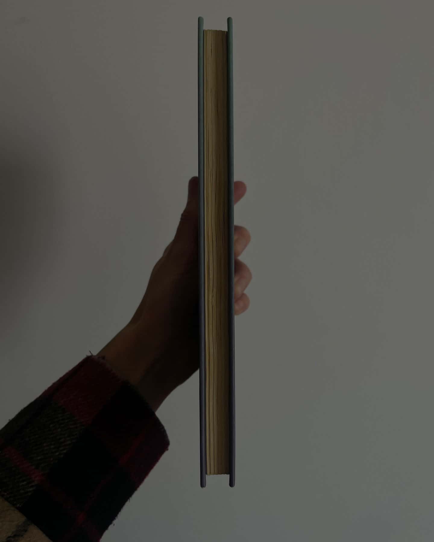 Різдво з червоним кардиналом-Фенні Флегг