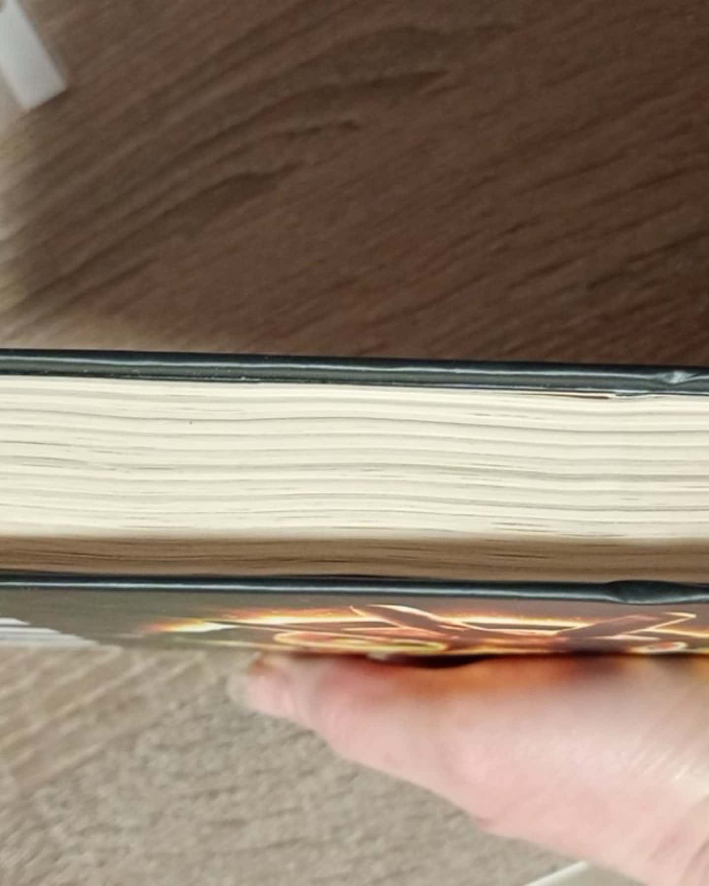 Книга Джералдова гра-Стівен Кінг