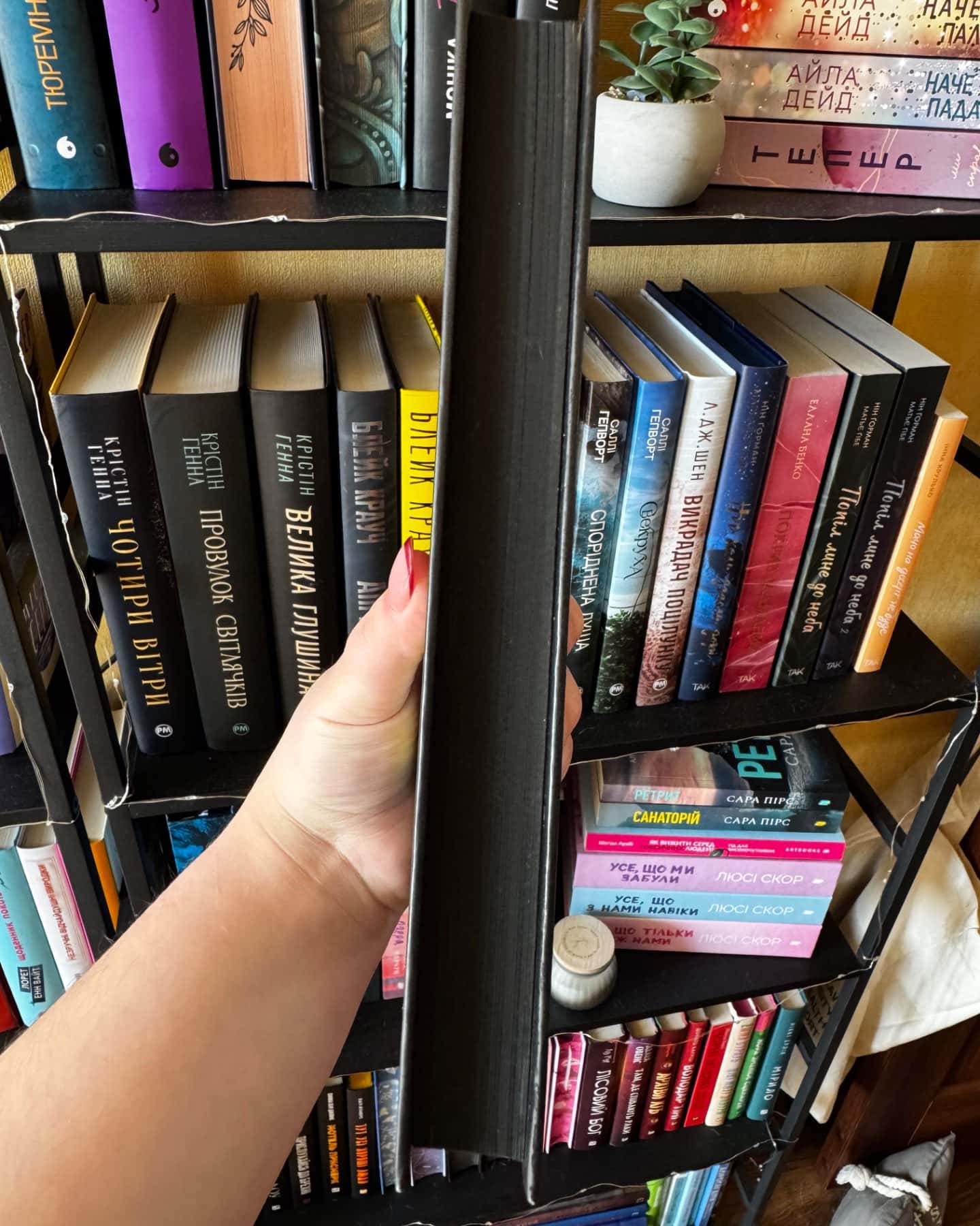 Боги мого краю дуже люблять кров-Євгенія Кужавська