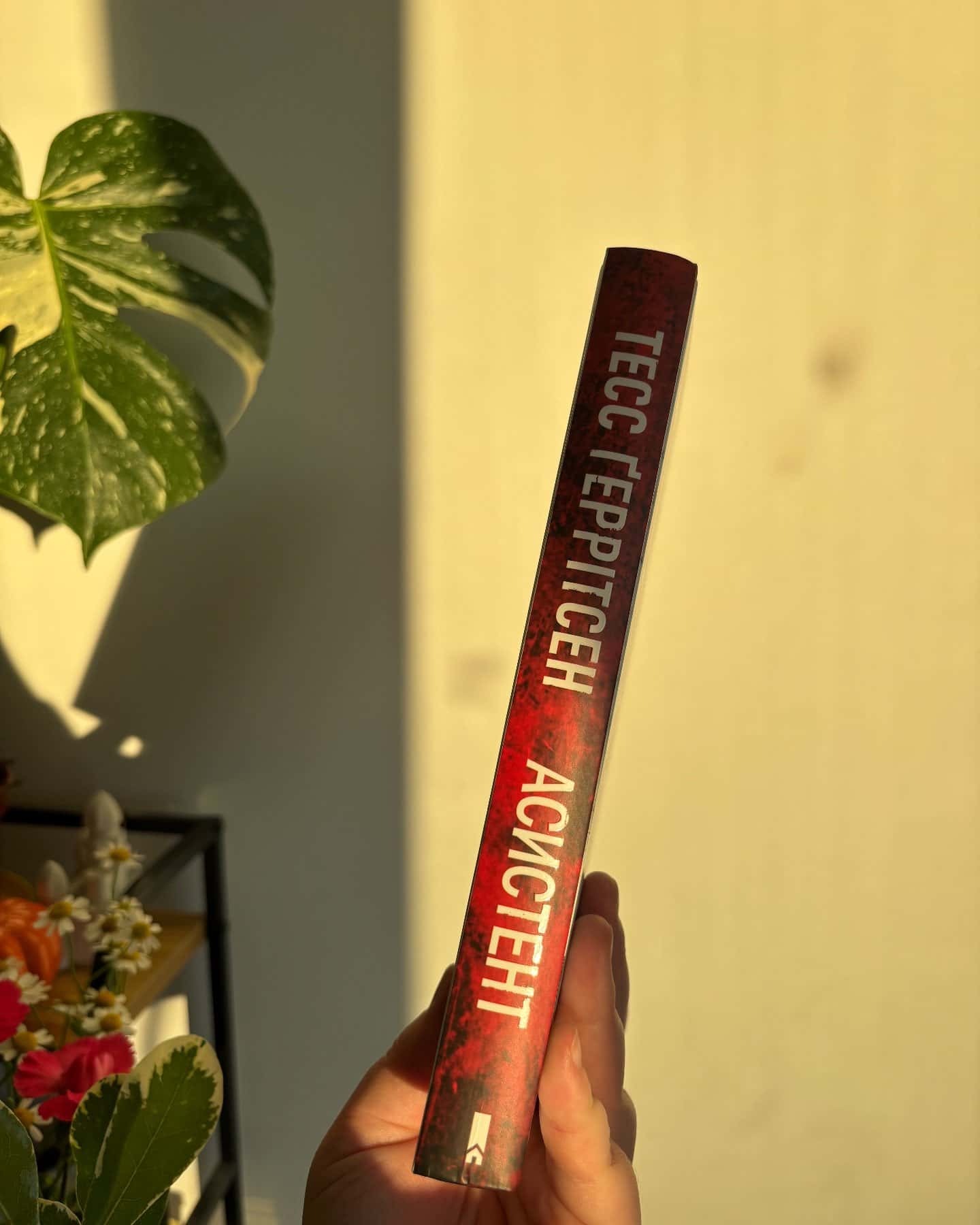 Асистент. Книга 2-Тесс Ґеррітсен