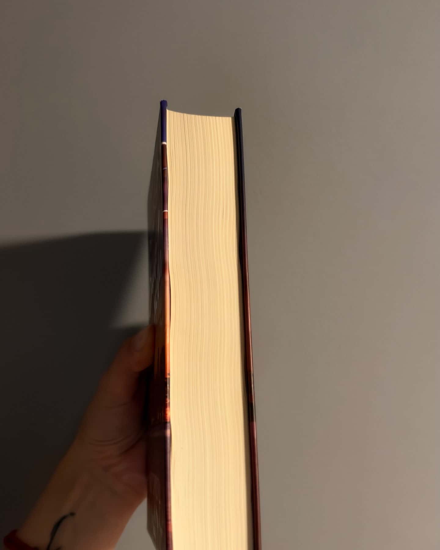 Вище неба. Місто вітрів. Книга 1 — Ліз Томфорд