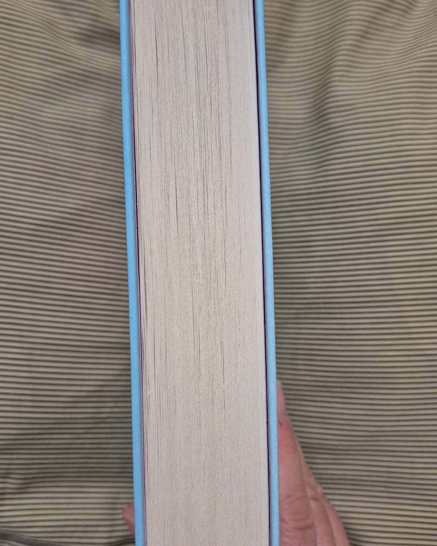 Щоденник покоївки — Лорет Енн Уайт