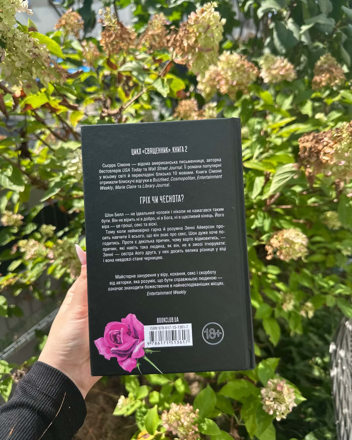 Грішник. Книга 2 — Сьєрра Сімоне
