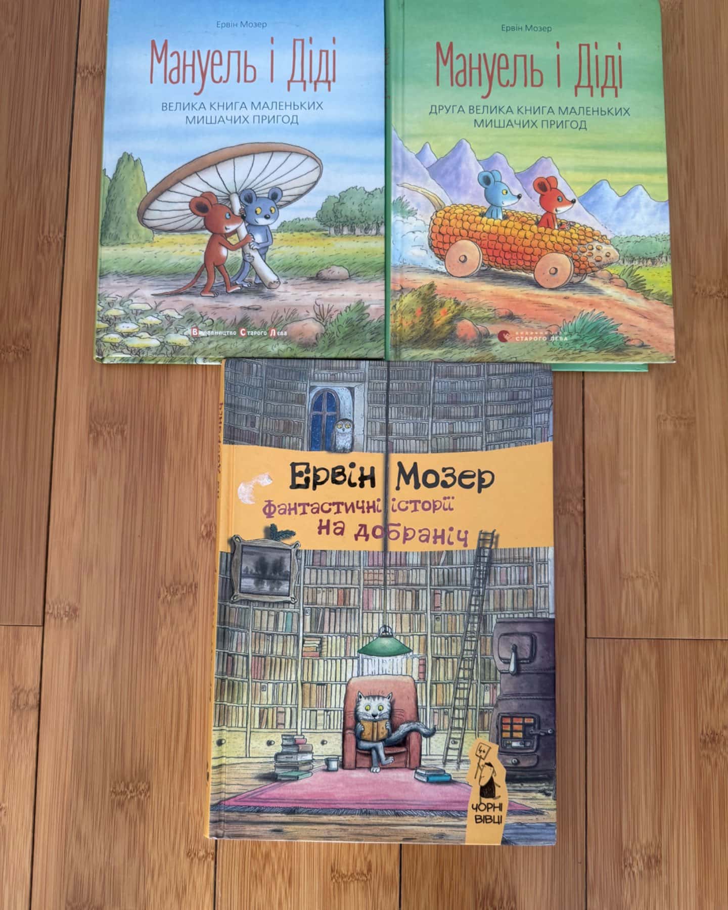 Мануель і Діді-Ервін мозер