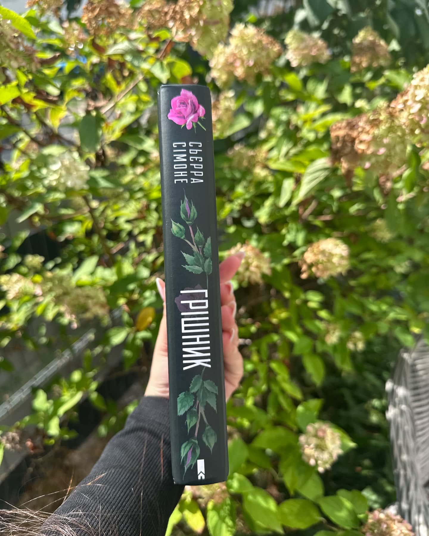 Грішник. Книга 2 — Сьєрра Сімоне