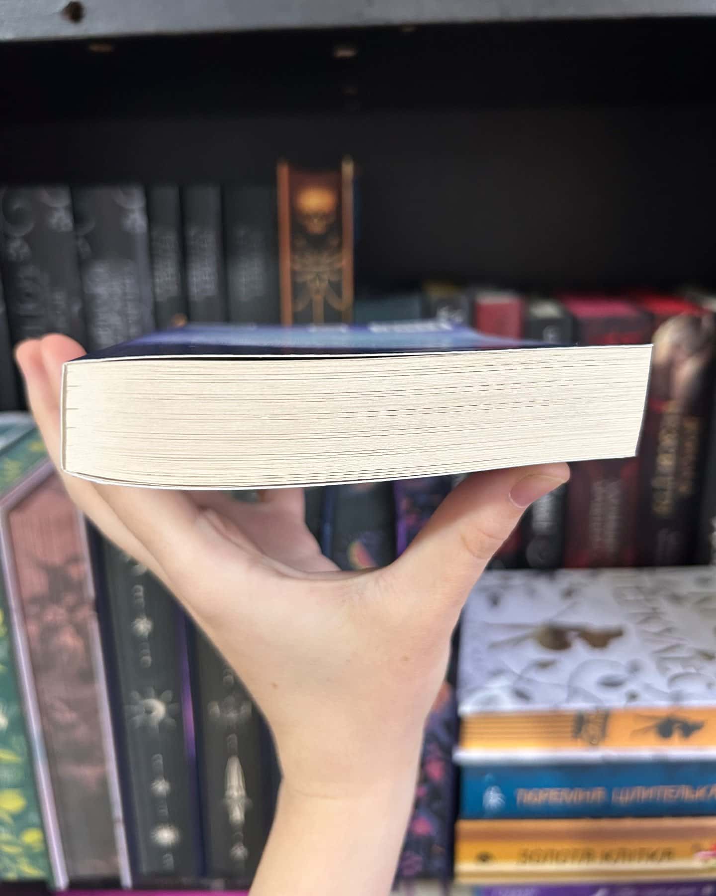 Сад Метеликів-Дот Хатчисон