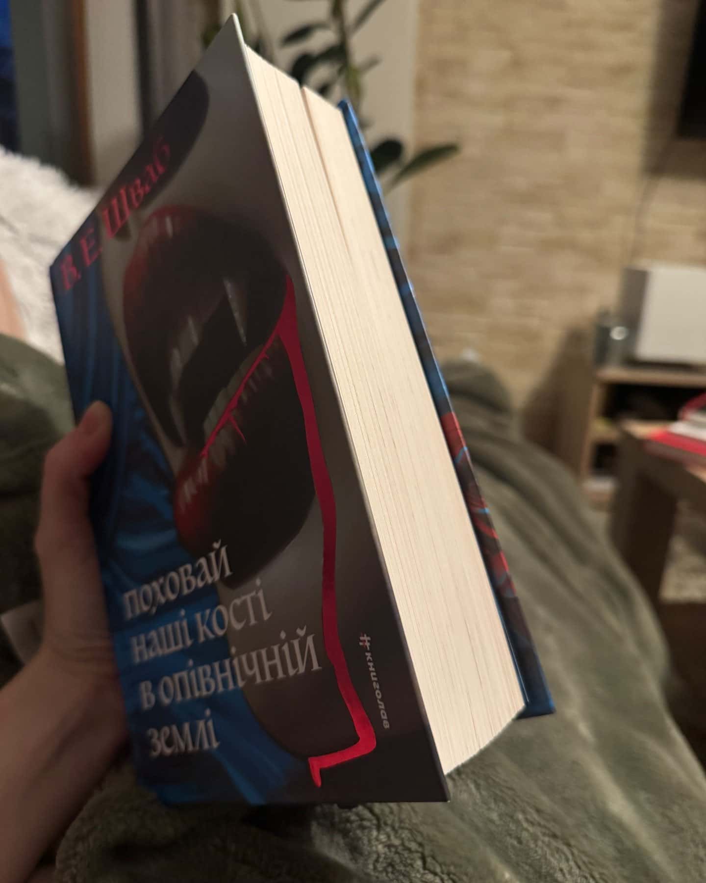 Поховай наші кості в опівнічній землі-Вікторія Шваб