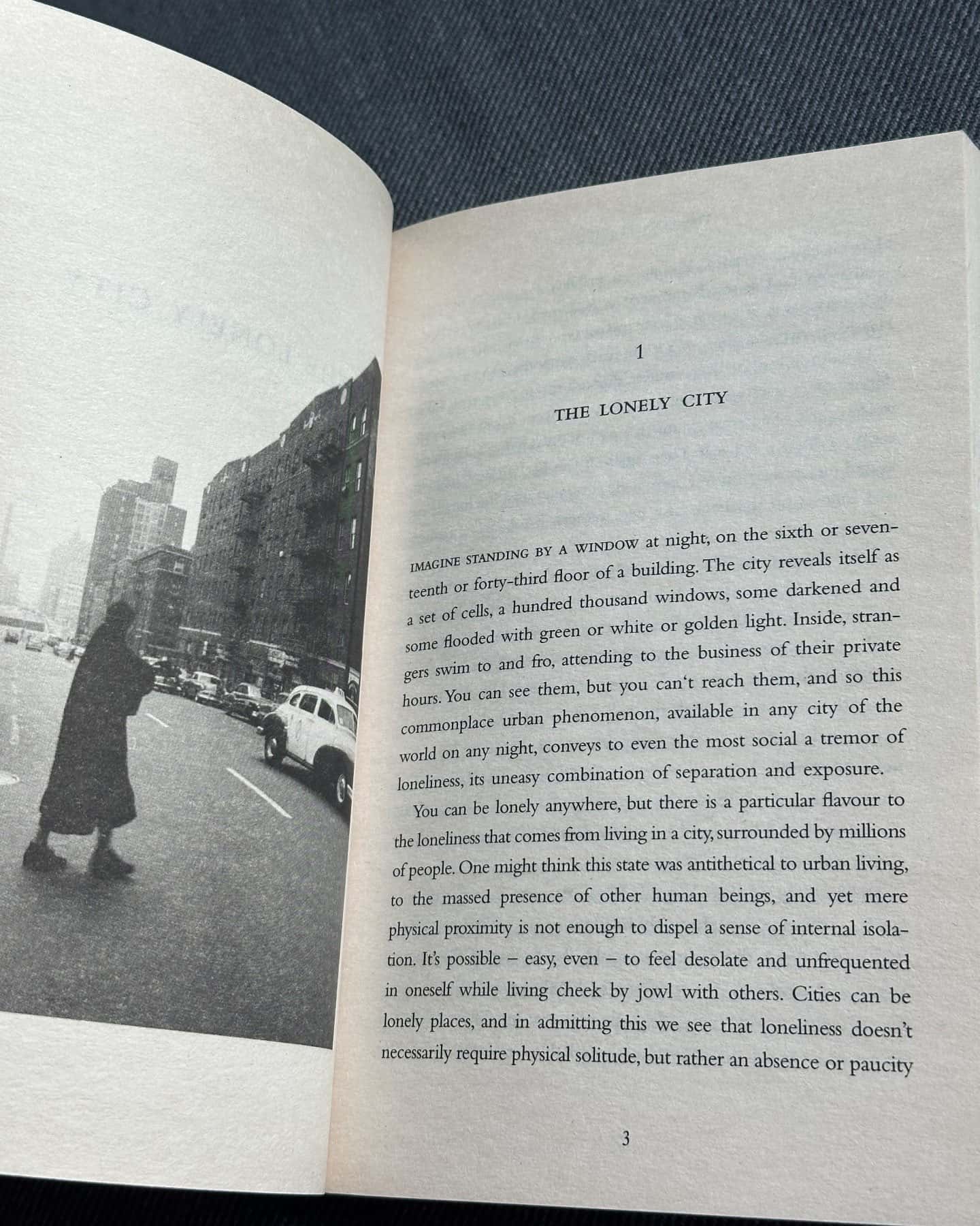 The lonely city-Olivia Laing