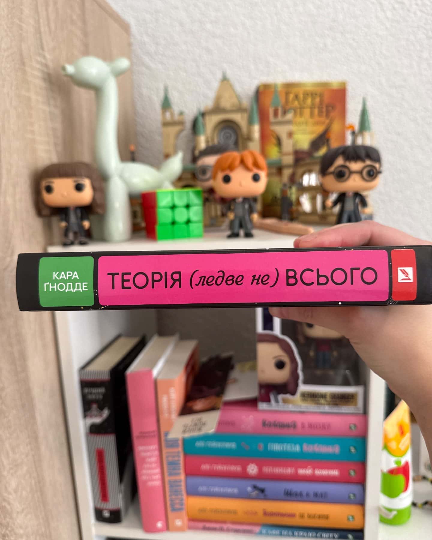 Теорія (ледве не) всього-Кара Ґнодде