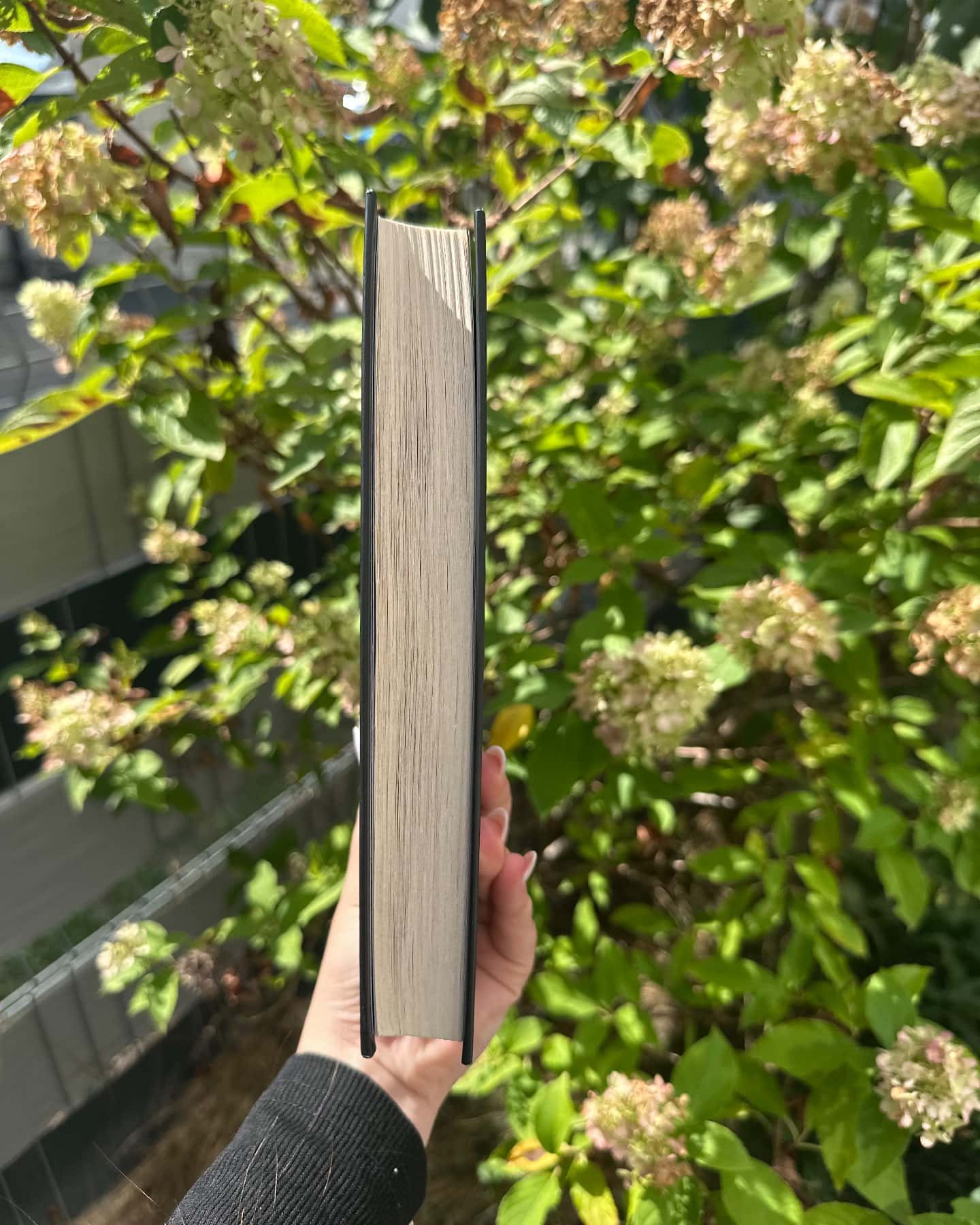 Священник. Книга 1 — Сьєрра Сімоне
