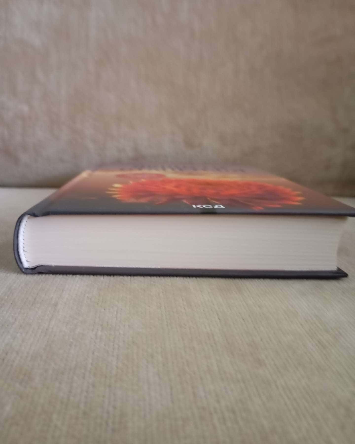 Якщо це станеться-Ребекка Яррос