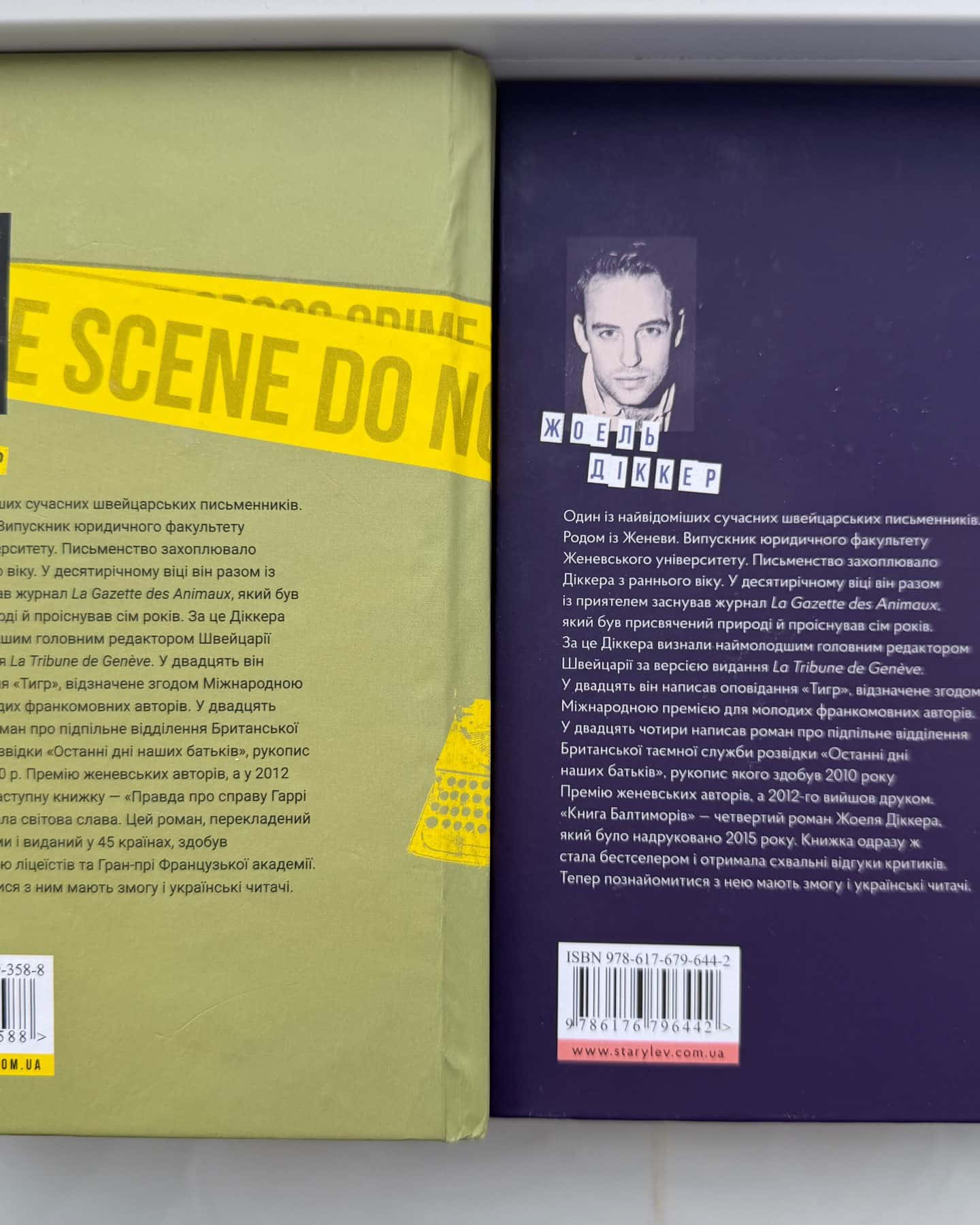 Правда про справу Гаррі Квеберта, Книга Балтиморів — Жоель Діккер
