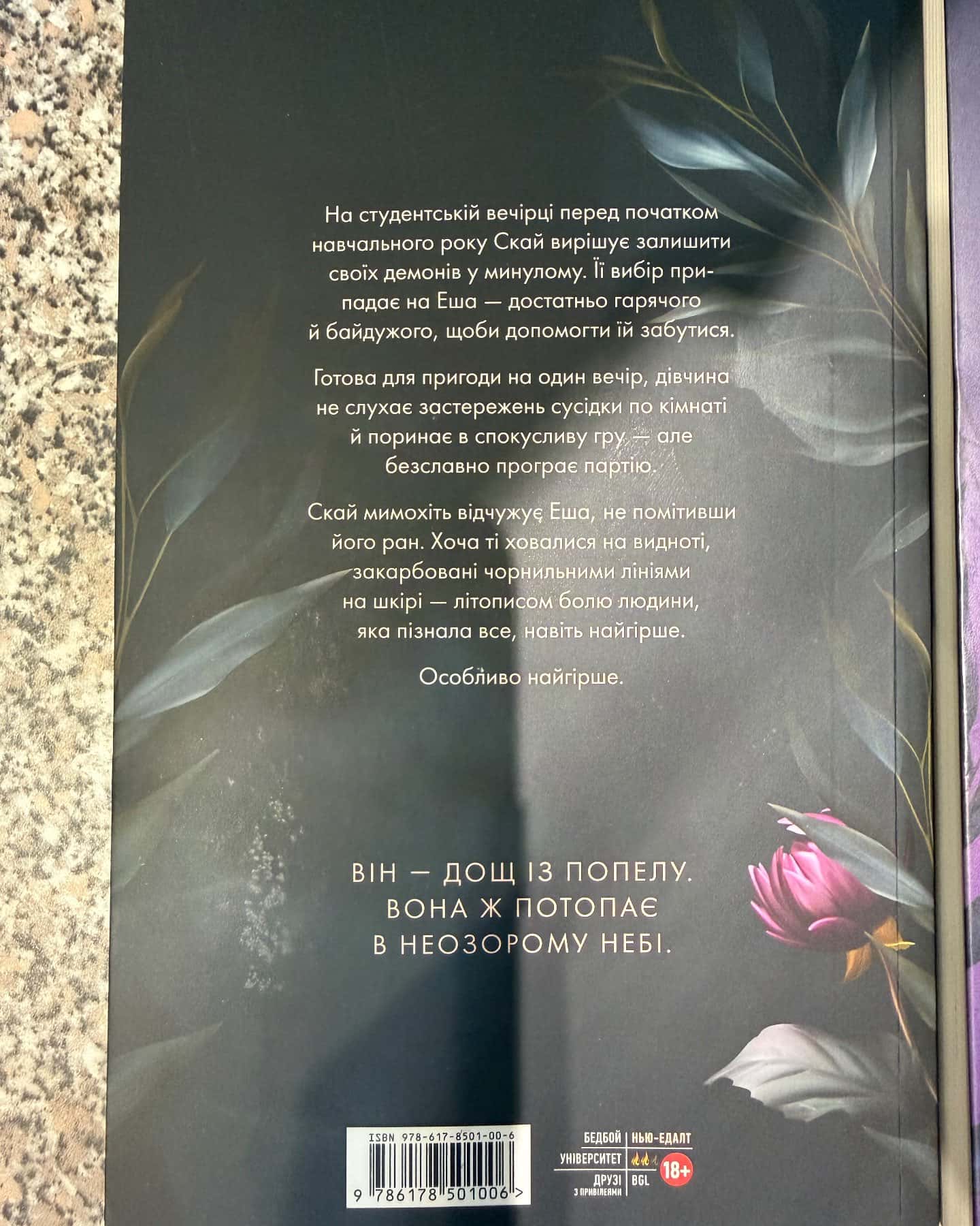 Попіл лине до неба. Том 1, Попіл лине до неба. Том 2-Матьє Ґібе, Нін Ґорман