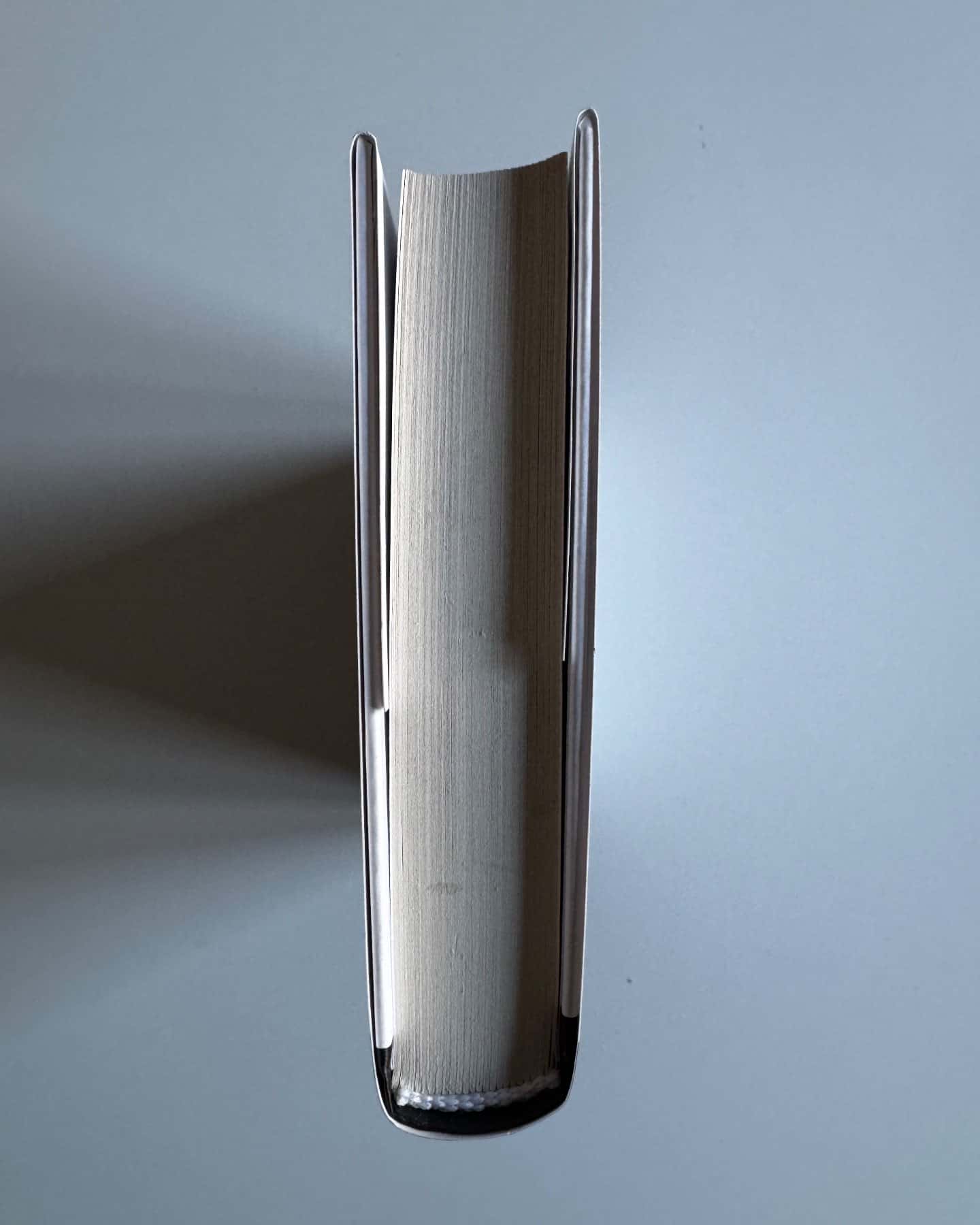 Полумʼяр-Алоїз Принц