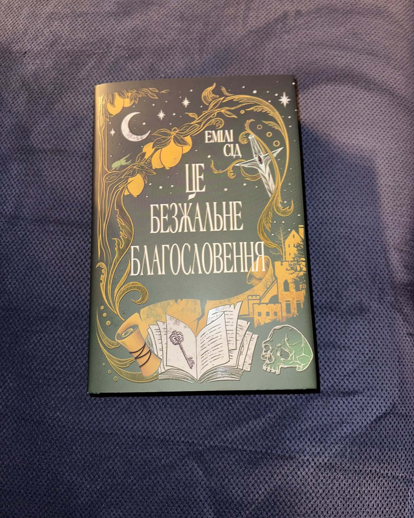 Це безжальне благословення-Емілі Сід