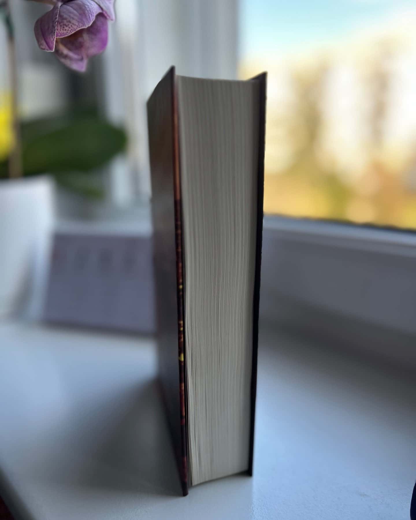 Правильне рішення. Місто вітрів. Книга 2, Спіймана. Місто вітрів. Книга 3-Ліз Томфорд