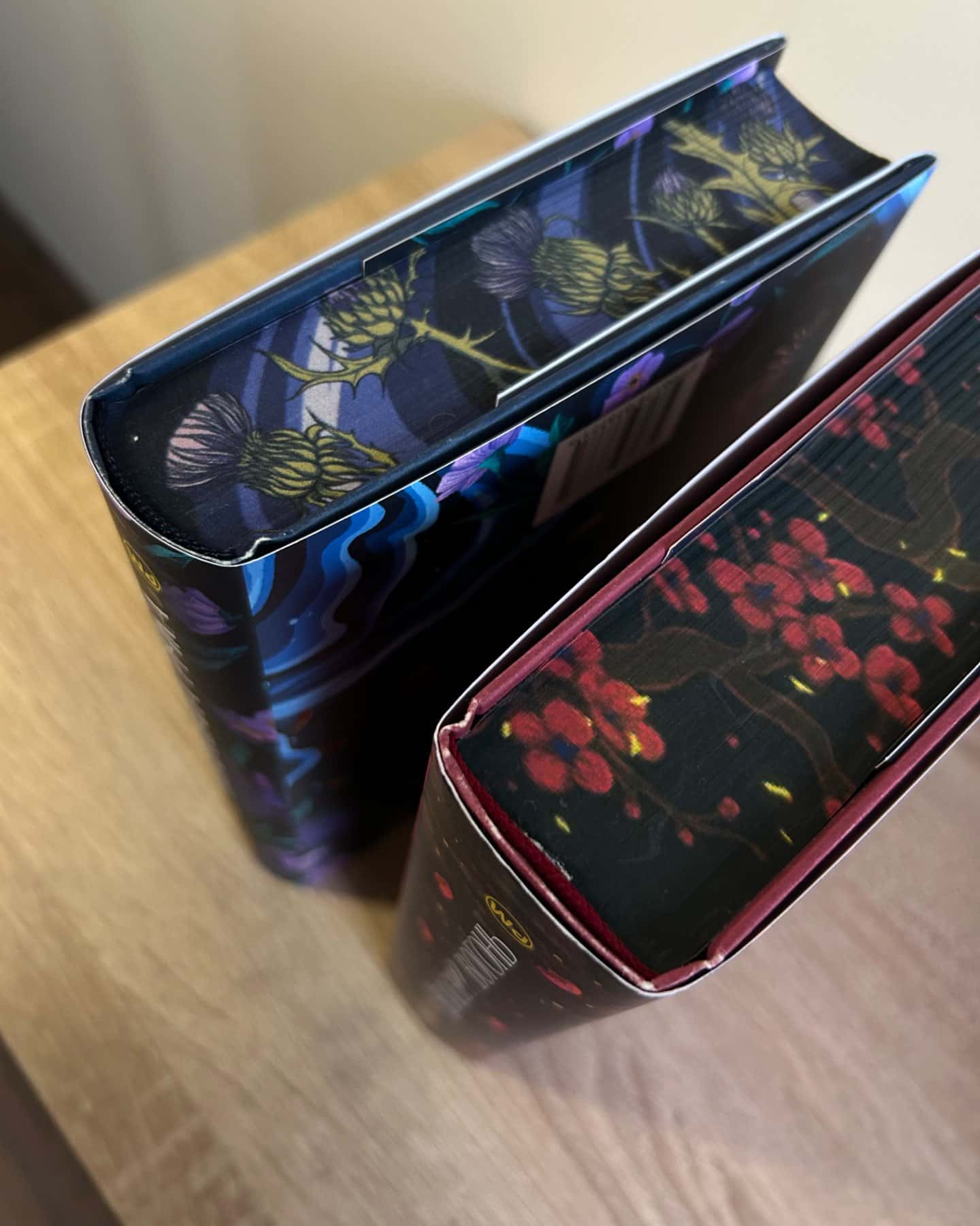 Зачарована річка. Книга 1, Незгасний вогонь. Книга 2-Ребекка Росс