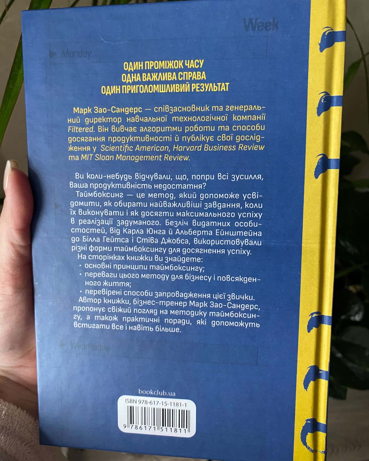 Тайм боксинг-Марк Зао-Сандерс