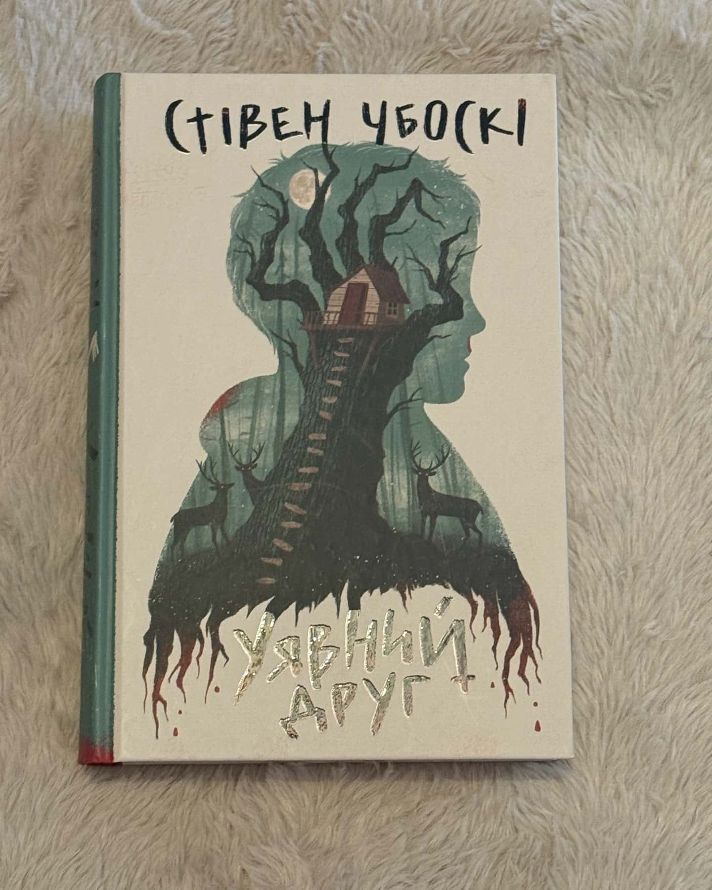 Уявний друг-Стівен Чбоскі