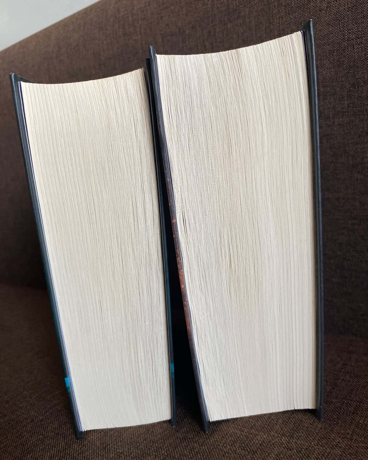 Захопити Тринадцятого. Книга 1, Вберегти Тринадцятого. Книга 2 — Хлої Волш