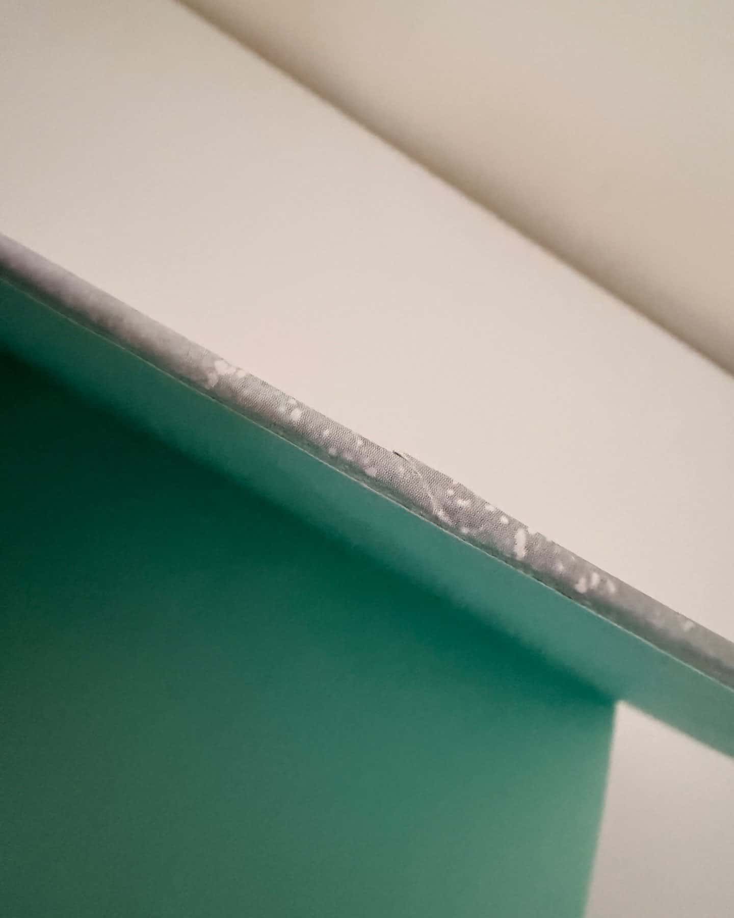 Викрадач поцілунку-Л. Дж. Шен