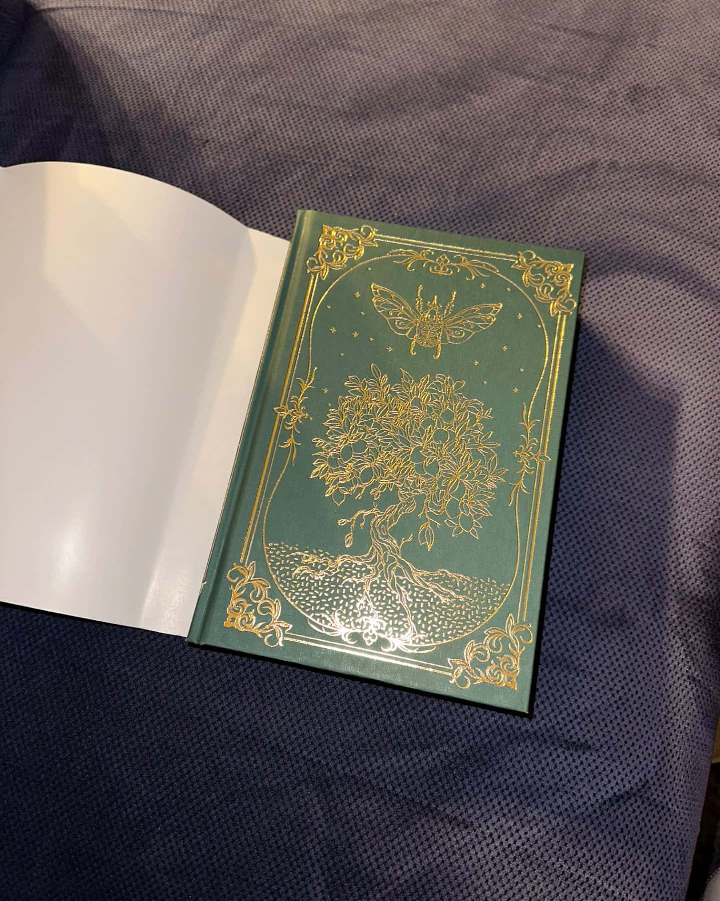 Це безжальне благословення-Емілі Сід