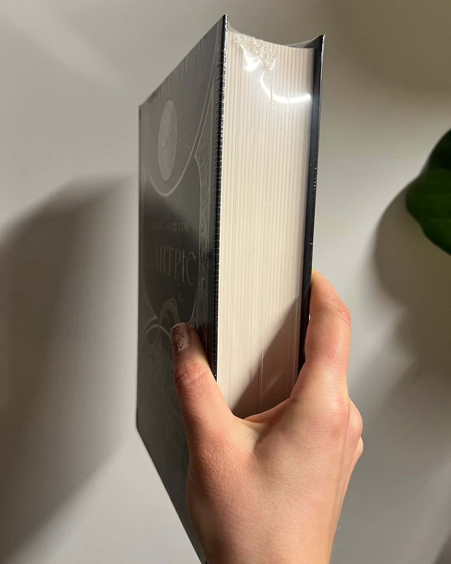 Елантріс-Брендон Сандерсон