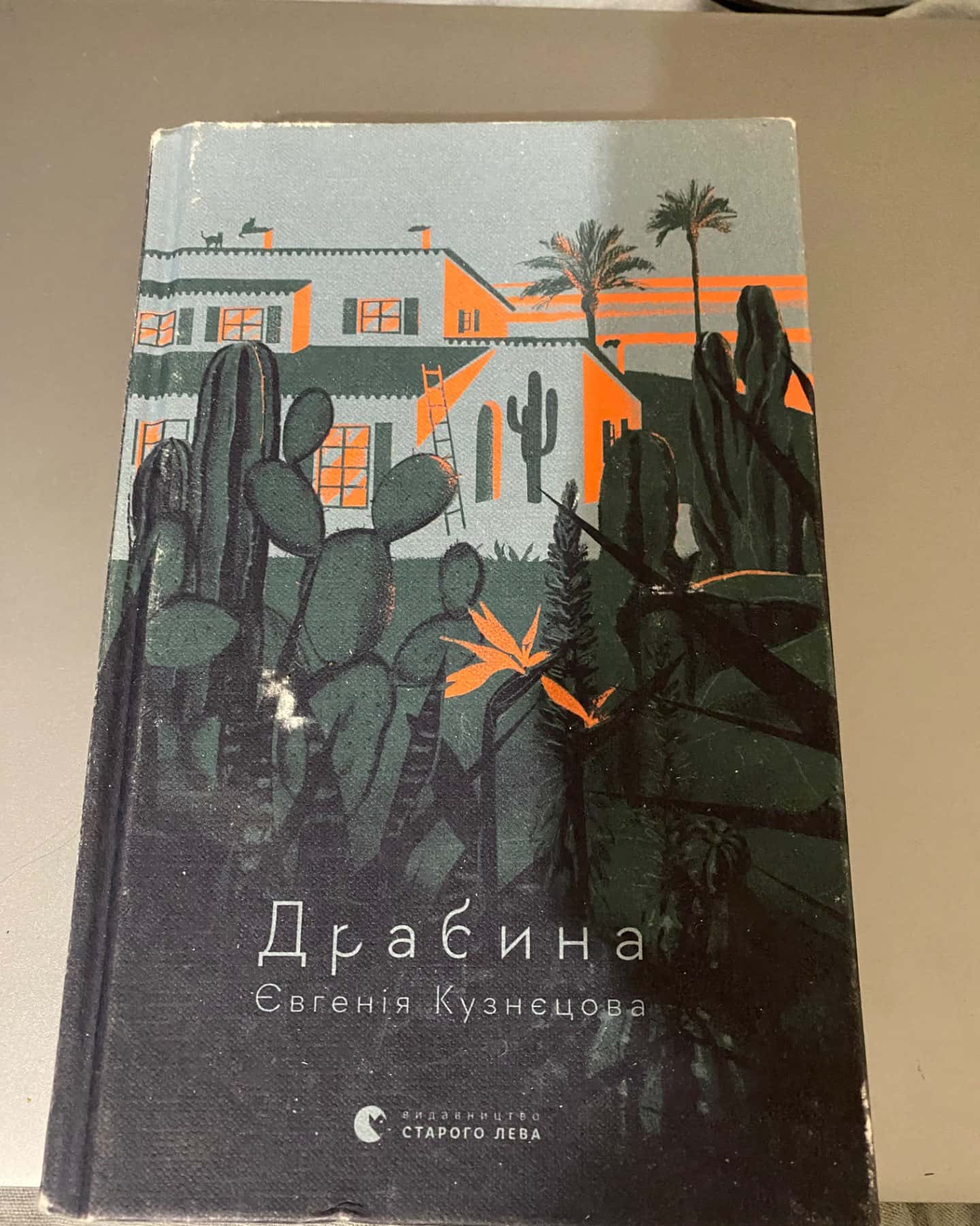 Євгенія кузнецова драбина-Кузнецова